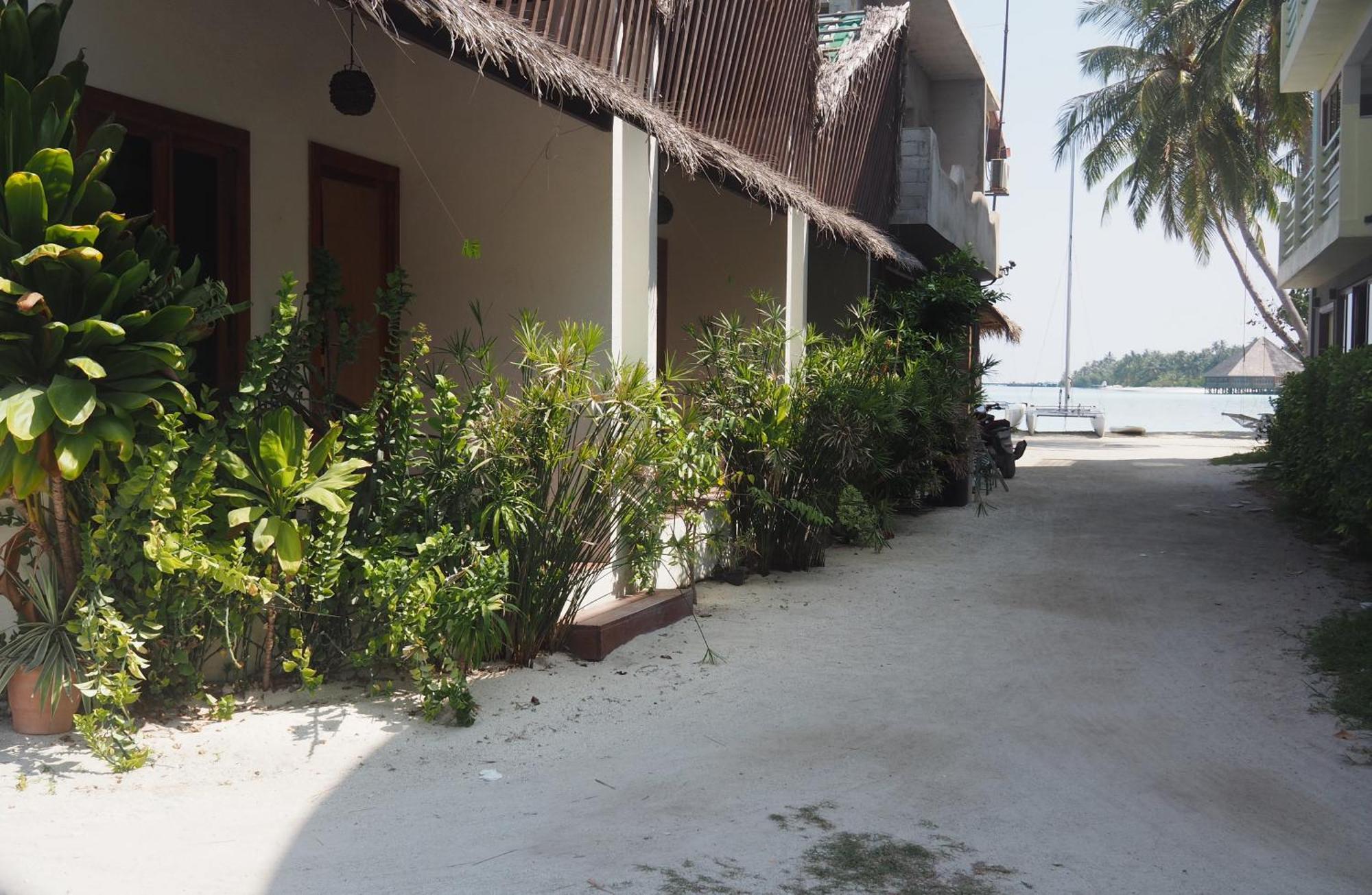 Club Kaafu Maldives Hotell Dhiffushi Rom bilde